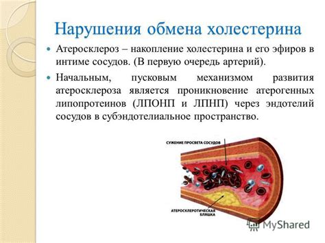 Нарушение синтеза холестерина в организме