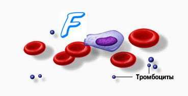 Нарушение функции тромбоцитов: