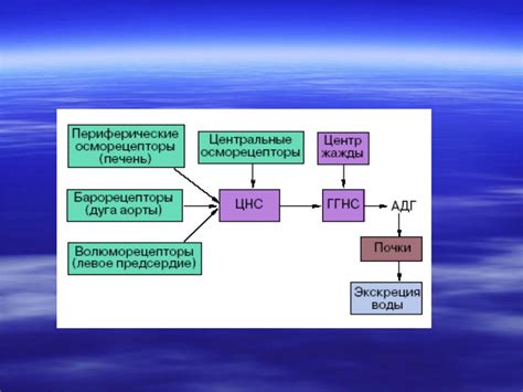 Нарушение электролитного баланса, интоксикация