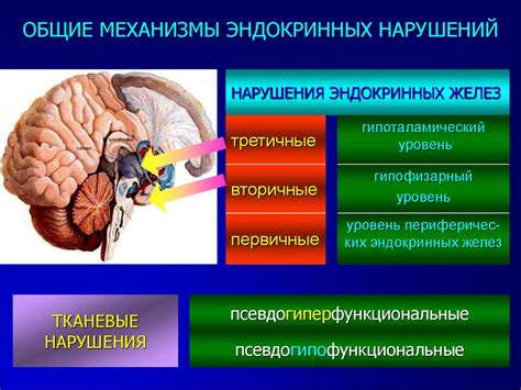 Нарушения в работе желез