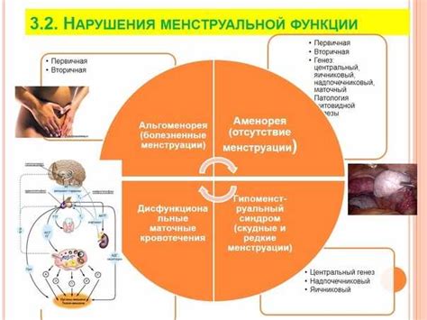 Нарушения менструального цикла и их связь с маленькой маткой