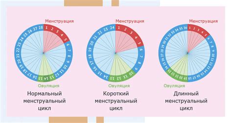 Нарушения менструального цикла и символика снов о кровяных образах