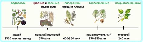 Наследование рябой расцветки у животных и растений