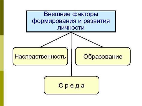 Наследственность и внешние факторы