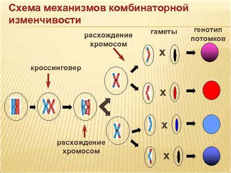 Наследственность и генетика