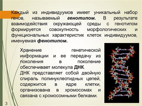 Наследственность и окружающая среда