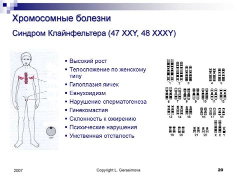 Наследственные факторы и глобулин