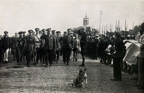 Наступление перемены: роль белой собаки в сновидении