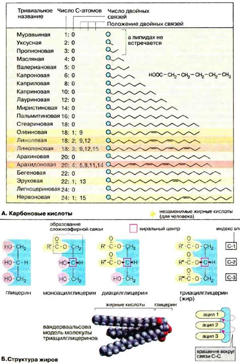 Насыщенность жирными кислотами