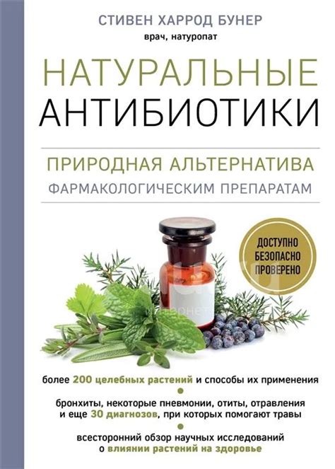 Натуральные ароматизаторы: природная альтернатива химическим добавкам