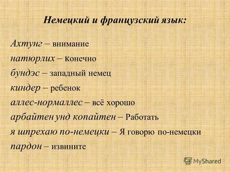 Натюрлих по немецки: принципы использования и значение