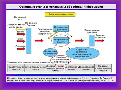 Наука и мистика: попытка рационально объяснить символику снов с зелеными растениями