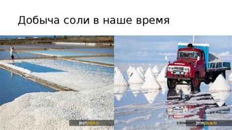 Наука о соли под дверью