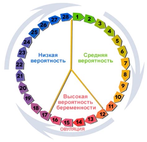 Начало цикла месячных