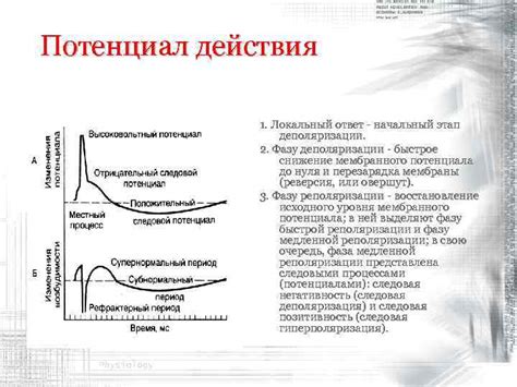 Начальный этап действия или процесса