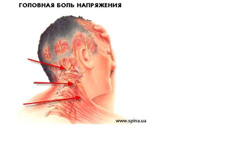 На шейной мышце шарик: причины, симптомы и способы лечения