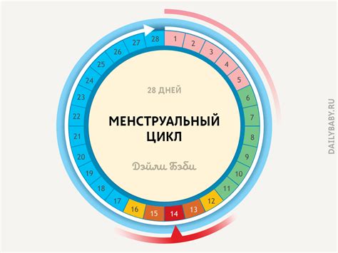 Неблагоприятный день для зачатия по календарю овуляции: