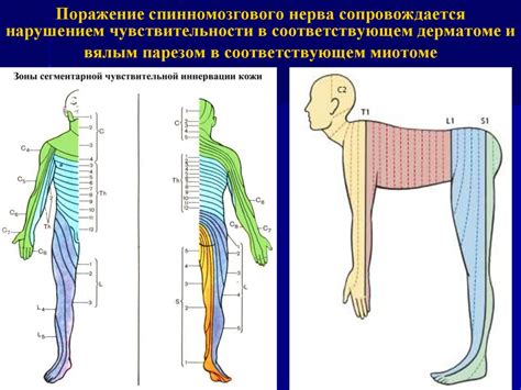 Неврологические проблемы и повреждения нервов