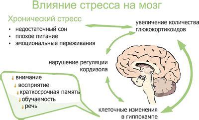 Неврологический криз: основные причины и риск факторы