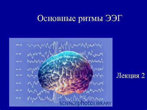 Неврология ЭЭГ: основные понятия и методы