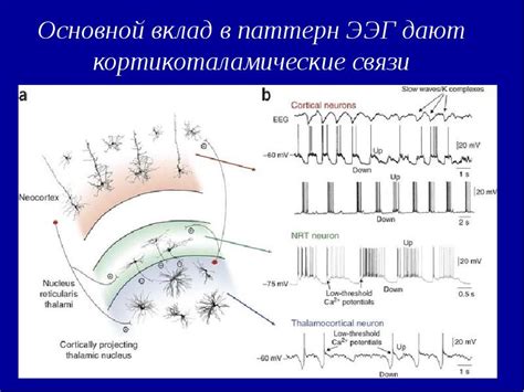 Невротический паттерн ЭЭГ - основные аспекты