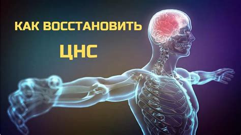 Негативный эффект неправильной посадки ног на центральную нервную систему