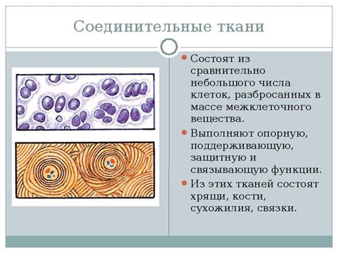 Недифференцированное заболевание соединительной ткани