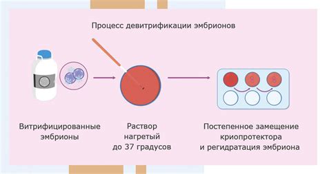 Недостатки эмбрионов крио b13ab