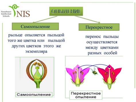 Недостаток опыления и перекрещивания