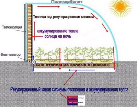 Недостаток света в теплице