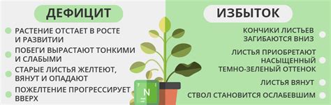 Недостаток света и питательных веществ