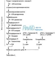 Недостаток элементов и нарушения синтеза гемоглобина