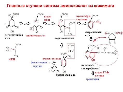 Недостаточность исходных компонентов для синтеза