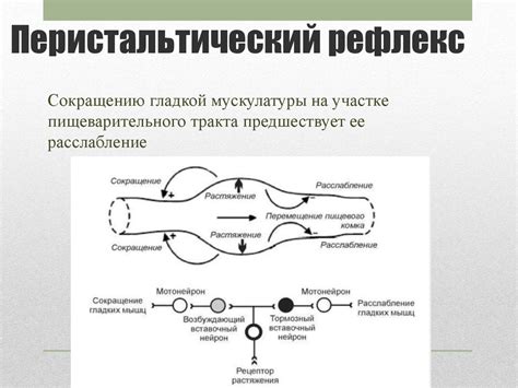 Недостаточный перистальтический рефлекс