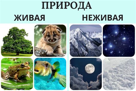 Неживая природа и ее влияние на нашу жизнь