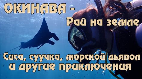 Незабываемый сон: путешествие с морскими обитателями по бескрайним просторам океана