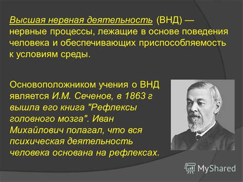 Нейробиологические процессы, лежащие в основе миров сновидений