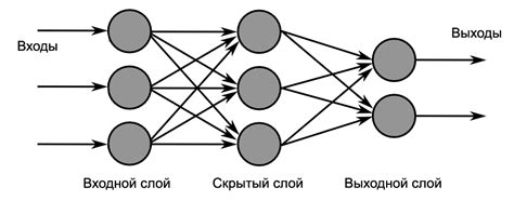 Нейронная сигнализация и передача информации