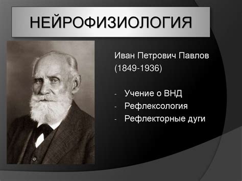 Нейрофизиология: основные понятия для понимания тест-системы