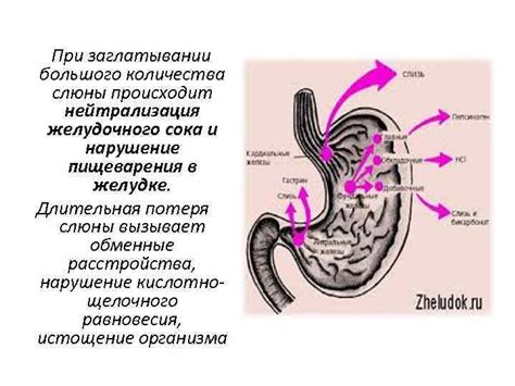 Нейтрализация желудочного сока