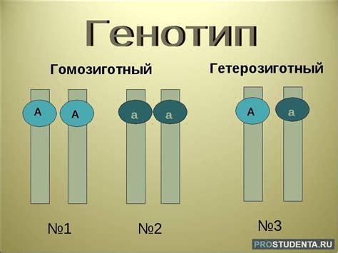 Нейтральный генотип: смысл и влияние на организм