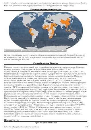 Некротический детрит и его роль в природе