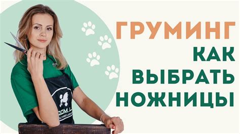 Необходимые предметы для поступления на грумера