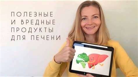 Необходимые продукты для диеты при гепатозе печени у собак