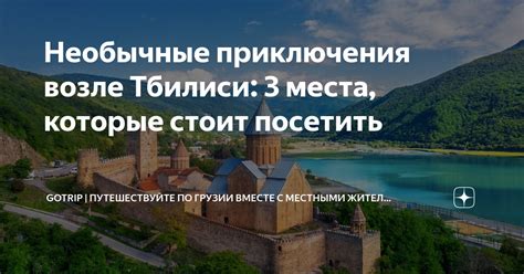 Необычные приключения вместе