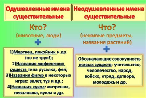 Неодушевленное существительное: особенности и примеры