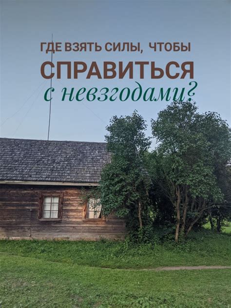 Неожиданная ситуация: как пришлось собрать все силы, чтобы справиться с неожиданным гостем