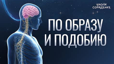 Неожиданное появление незнакомца в снах: разгадка его символического значения