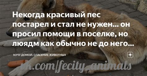 Неожиданное спасение: как пес незапланировано стал моим спасением