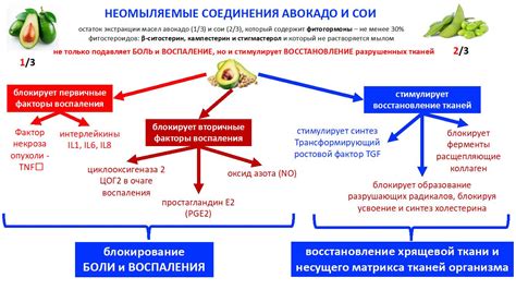 Неомыляемые соединения авокадо и сои